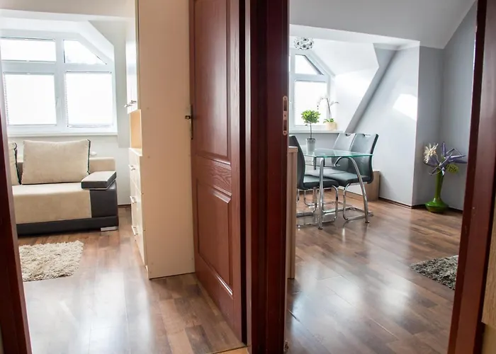 Apartameny Tadeusz 406